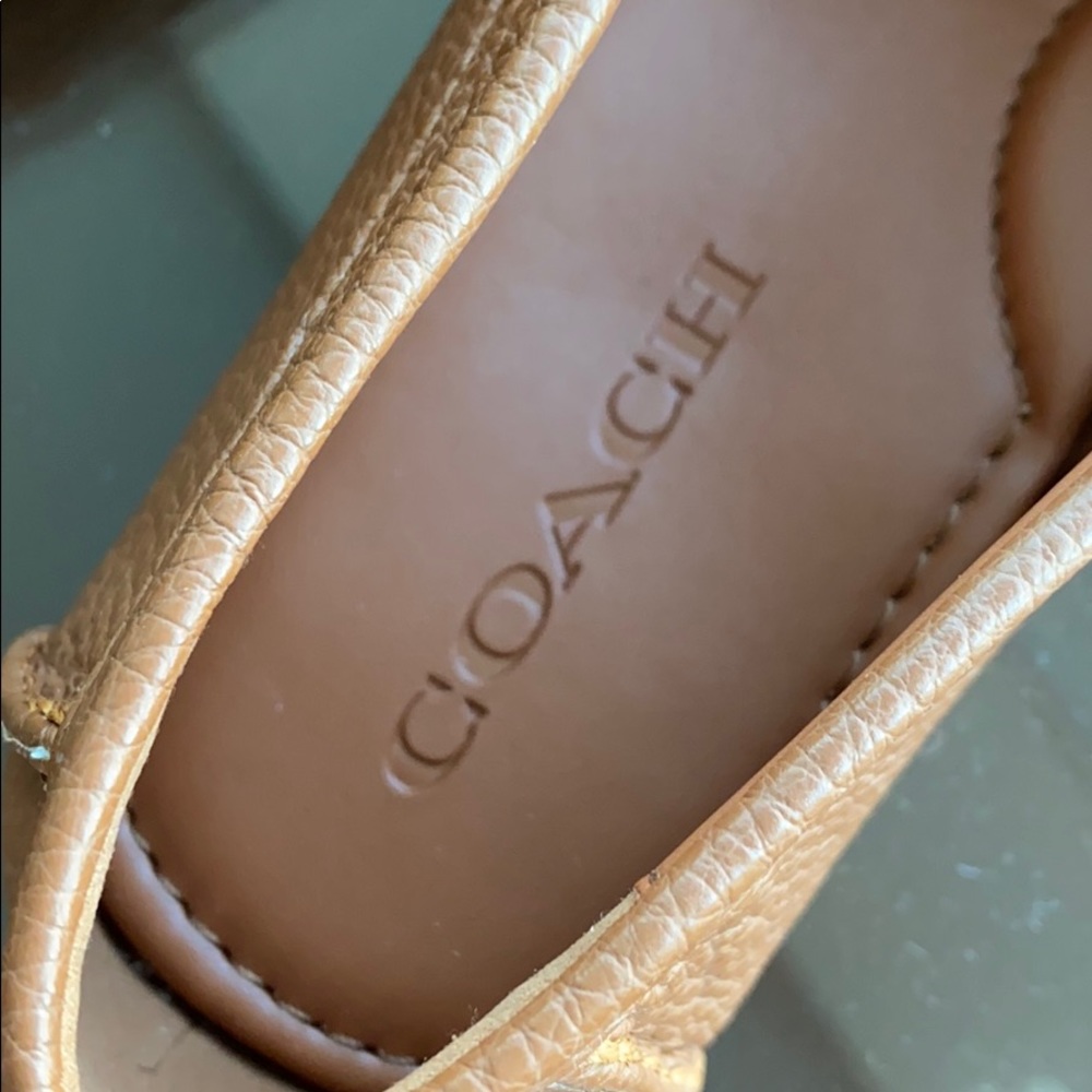 Coach - Picture 4 of 4
